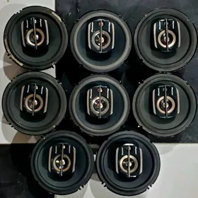 Pioneer nikl arginaly 300w