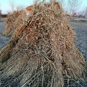 Mal oty Yylanly S.Cerkez d/b