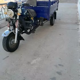 Fekon FK200-14G 2016