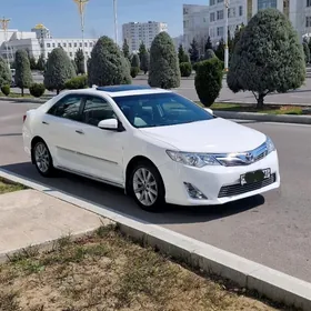 Toyota Camry 2013