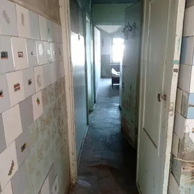 Mary-Şäher-Arenda-Jay-3-mk