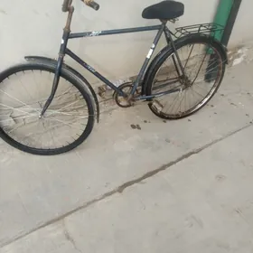 аисть велик