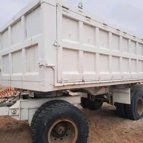 Prisep Polprisep 2022