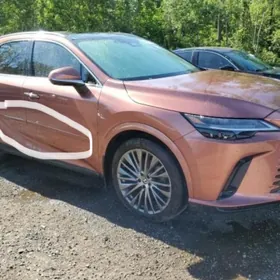 Gapy Remen lexus 2020/25