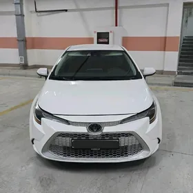 Toyota Corolla 2020
