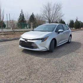 Toyota Corolla 2021