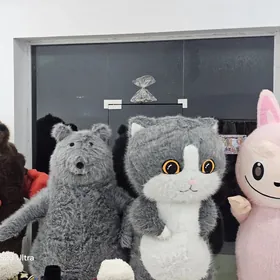 Mişka şadyýan haýwan