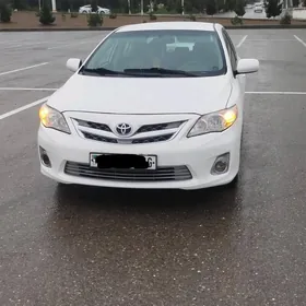 Toyota Corolla 2008