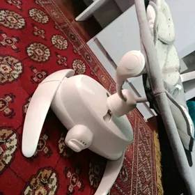 caga tokly sallancagy