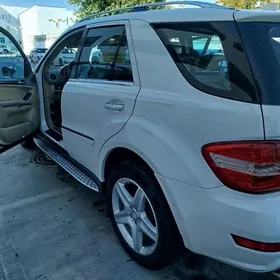 Mercedes-Benz ML350 2010