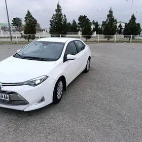 Toyota Corolla 2018