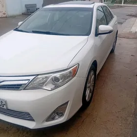 Toyota Camry 2013
