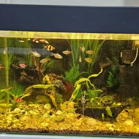 Аквариум 160 литров