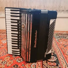 akkordeon weltmester cansona