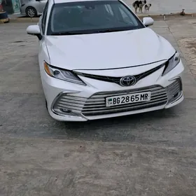 Toyota Camry 2019