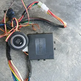 START STOP KAMPILEKIT