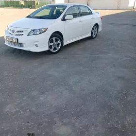 Toyota Corolla 2013