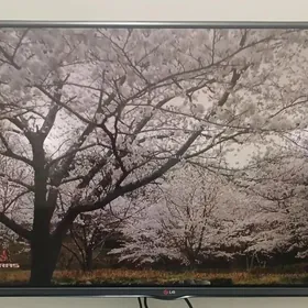 LG 50 TV