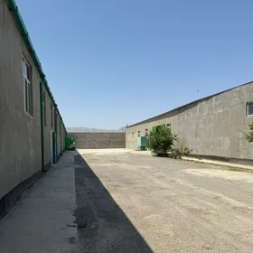 Sklad arenda Anew Magtymguly