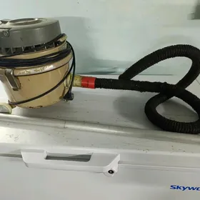 Palesos Палесос