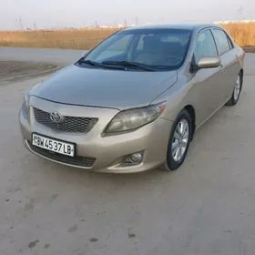 Toyota Corolla 2010