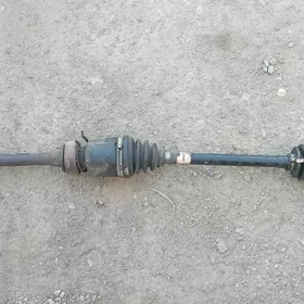 Lisicka babocka granat