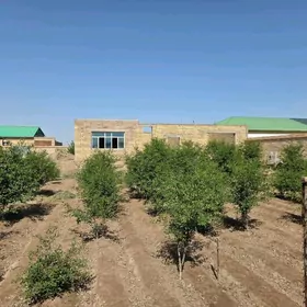 Dașoguz welaýat Șabat etr