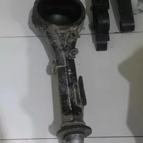 Gazel (çulok) zadniý most