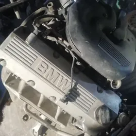 двигатель М43