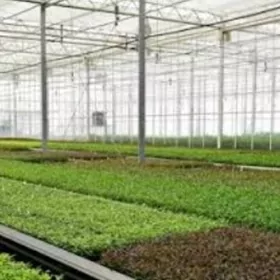 SATLYK TEPLYSA AFTOBANDA 15-GE