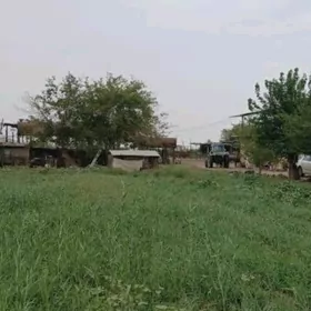 SATLYK MULK YERY ANEWDE 250-GE