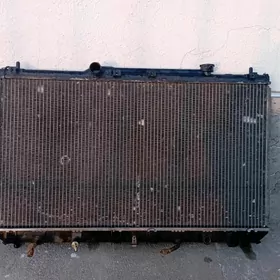 RADIATOR LISICKA BABOCHKA 2.2