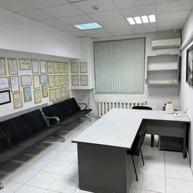 Arenda PADWAL ŞEWÇENKO kw