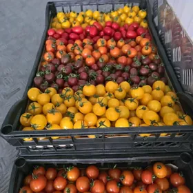 Ýyladyshana isgar gerek