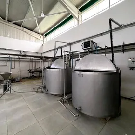 SATLYK ANEWDE TAYIN BYZNES