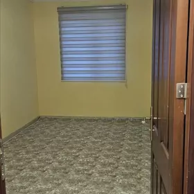 Mir 5 .9/9 etz 5 komyt bet jaý