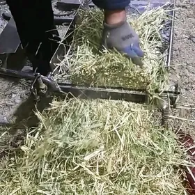 OT BEDE ÇAPÝAN KESÝÄN DOGRAÝAN