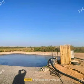 SATLYK ANEW 42-GEKTAR MULK YER