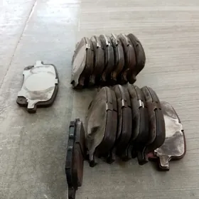 Kalotka morda  awalon