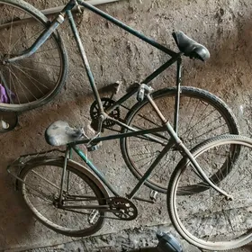 Tgr Velik 3 sanak bar