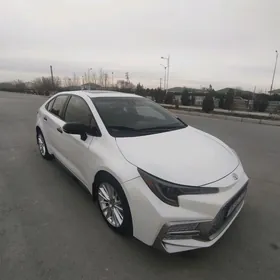 Toyota Corolla 2019