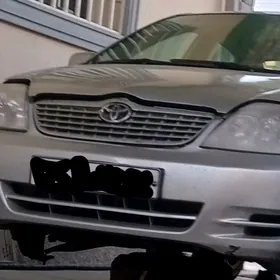 karolla 2002  bamper