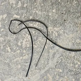 Carolla Labawoý Rezin