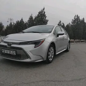 Toyota Corolla 2021