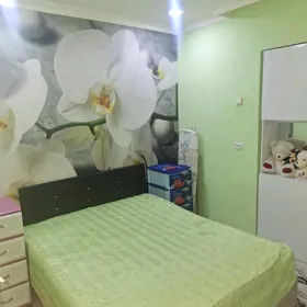 квартира жайлар