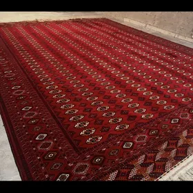 6.5 haly arassa taze kesilen