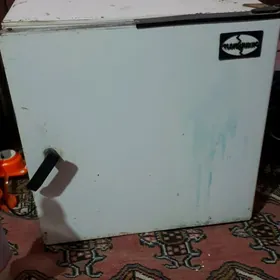 inkibator  petisok  arasa