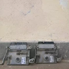 12 13 Karola morda kamputer