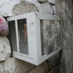 Kondinsaner Akira 40