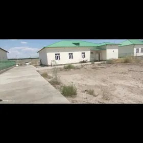 Bagtyyar zaman satylyk jay